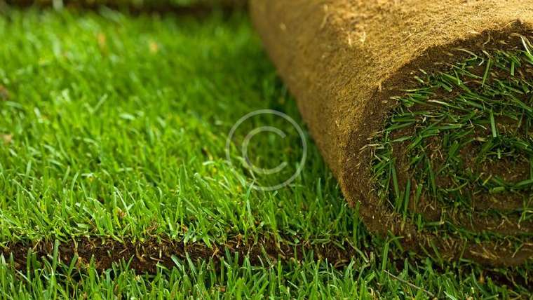 Sod Installation