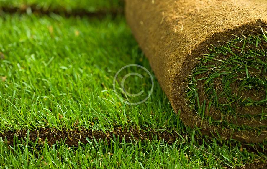 Sod Installation